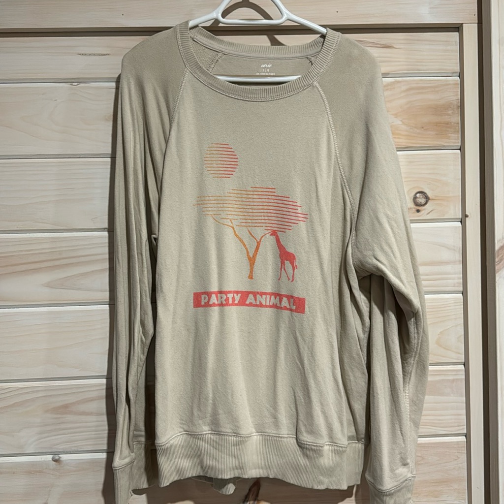 Aerie Soft Sweater